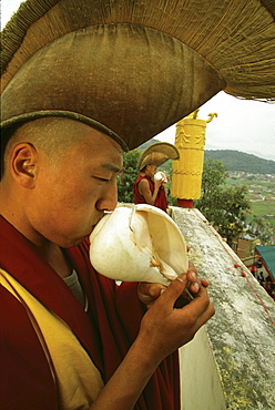 Bonpo conch shell, t. Norbutse. young monks, wearing ceremonial hats, blow on conch shells to call monks to prayer. yellow cylindrical object behind them is a victory banner, symbolizing monasteries defeat of negativity evil intention on premises