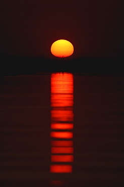 Okavango delta, botswana. Sunset on the okavango river