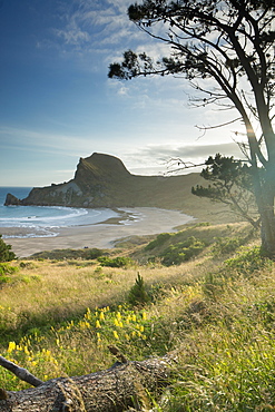 Deliverance Cove, Castlepoint, Wellington Region, North Island, New Zealand, Pacific