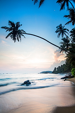 Mirissa Beach, Mirissa, Matara District, Southern Province, Sri Lanka, Asia