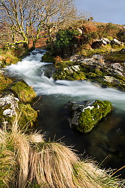 Stream in Croesor Valley, Gwynedd, Wales, United Kingdom, Europe