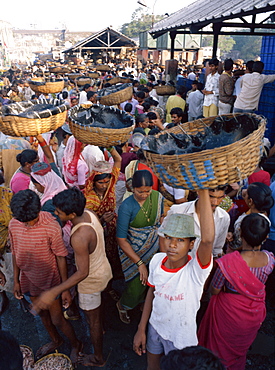 Early morning fish market, Colaba, Mumbai (Bombay), India, Asia