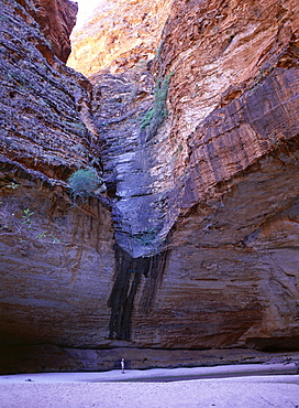 Rocky amphitheatre with pool, at head of Cathedral Gorge, Purnululu National Park, UNESCO World Heritage site, Bungle Bungle, Kimberley, Western Australia, Australia, Pacific