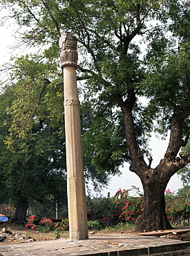 The Heliodorus Pillar, Vidisha, Madhya Pradesh state, India, Asia