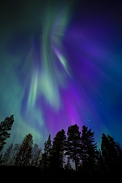 Aurora borealis, corona, Muonio, Finland, Scandinavia, Europe