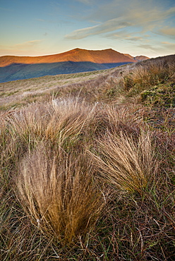 Grass and mountain peak at sunrise, Conor Pass, Dingle Peninsula, County Kerry, Munster, Republic of Ireland, Europe