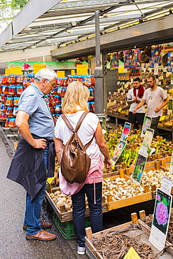 People browsing in Bloemenmarkt, Amsterdam, Netherlands, Europe