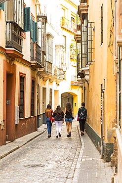 Santa Cruz district, Seville, Andalusia (Andalucia), Spain, Europe