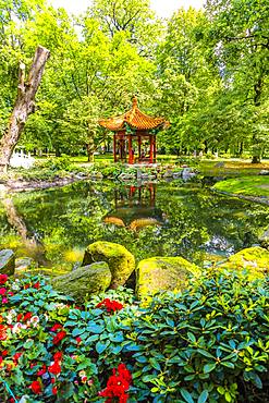 Japanese Garden, Lazienki Park, Warsaw, Poland, Europe