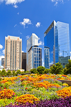 Discovery Green, Houston, Texas, United States of America, North America,