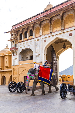 Elephants walking through the entrance gate at Amer (Amber) Palace and Fort, UNESCO World Heritage Site, Amer, Jaipur, Rajasthan, India, Asia