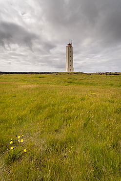 Malariff Lighthouse, Snaefellsnes, Iceland, Polar Regions