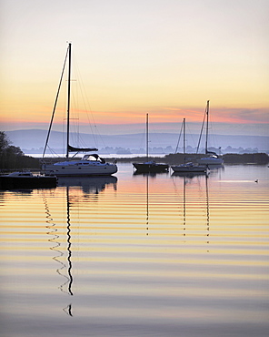 Yachts moored on Lough Derg in the early morning, River Shannon, Portumna, Co Galway, Republic of Ireland, Europe