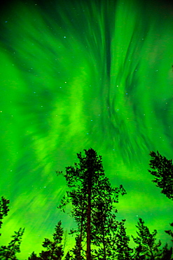 Aurora Borealis (the Northern Lights) over Kakslauttanen Igloo West Village, Saariselka, Finland, Scandinavia, Europe