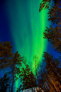 Aurora Borealis (the Northern Lights) over Kakslauttanen Igloo West Village, Saariselka, Finland, Scandinavia, Europe