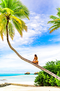 Scenic at Maldivesi Island with model, Maldives, Indian Ocean, Asia