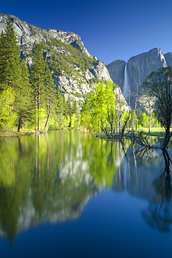 Yosemite Falls and Merced River in spring, Yosemite National Park, UNESCO World Heritage Site, California, United States of America, North America