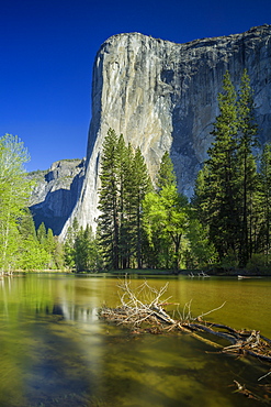 Half Dome from the Merced River, Yosemite National Park, UNESCO World Heritage Site, California, United States of America, North America