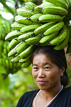 A woman collects bananas and balances them on her head to carry, near Manipur, India, Asia