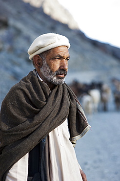 A shepherd near Gilgit, Gilgit-Baltistan, Pakistan, Asia