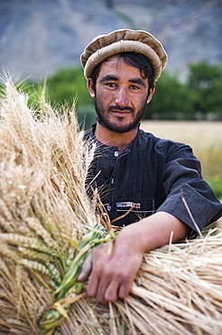 A farmer holds a freshly cut bundle of wheat in the Panjshir Valley, Afghanistan, Asia