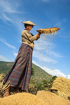 A woman uses the traditional method of sorting rice called winnowing near Mongar in east Bhutan, Asia