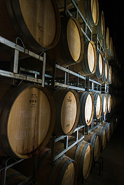 Wine in oak barrels in the Uco Valley near Mendoza, Argentina, South America