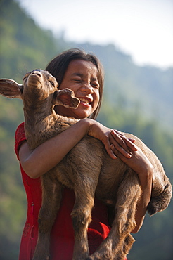 A little girl holds on to her goat, Manaslu Region, Nepal, Asia