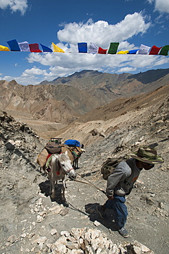 The high passes have spiritual significance for local people as well as those from afar, Prinkiti La, Ladakh, India, Asia