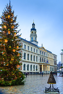 Christmas tree in Town Hall Square, UNESCO World Heritage Site, Riga, Latvia, Europe