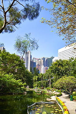 Hong Kong Park in Central, Hong Kong Island, Hong Kong, China, Asia