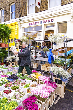 Columbia Road Flower Market, a very popular Sunday market between Hoxton and Bethnal Green in East London, London, England, United Kingdom, Europe