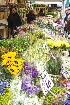 Columbia Road Flower Market, a very popular Sunday market between Hoxton and Bethnal Green in East London, London, England, United Kingdom, Europe