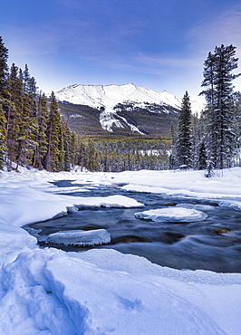 The Sunwapta River which is a tributary of the Athabasca River in jasper National Park, Alberta, Canada, North America