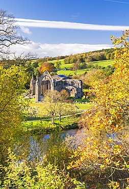 Bolton Abbey and the River Wharfe, in Lower Wharfedale, The Yorkshire Dales National Park, Enhland, United Kingdom, Europe