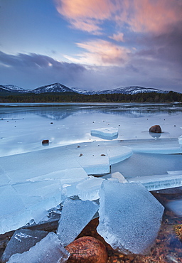 Ice sheets in severe winter weather on Loch Morlich, at daybreak, in the Badenoch and Strathspey area of Highland, Scotland, United Kingdom, Europe, Europe