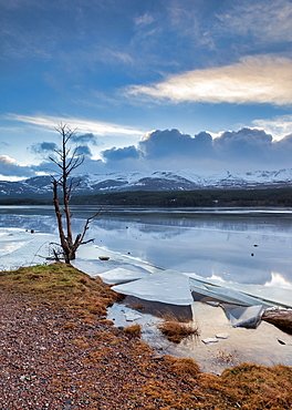 Ice sheets in severe winter weather on Loch Morlich, at daybreak, in the Badenoch and Strathspey area of Highland, Scotland, United Kingdom, Europe, Europe