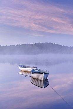 Misty daybreak over Loch Rusky in May, Aberfoyle, The Trossachs, Scotland, United Kingdom, Europe