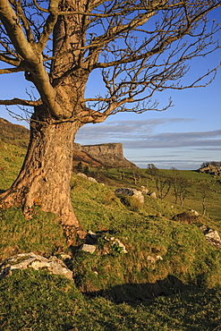 Murlough Bay, Fair Head, County Antrim, Ulster, Northern Ireland, United Kingdom, Europe