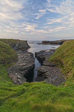 Ross, Loop Head, County Clare, Munster, Republic of Ireland, Europe