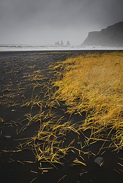 Basalt rock formations (sea stacks) and black sand beach in Vik, Iceland, Polar Regions