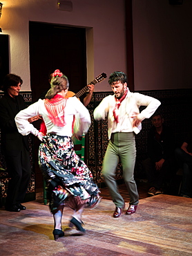 Flamenco dancers and musicians, La Casa del Flamenco, Seville (Sevilla), Andalucia, Spain, Europe