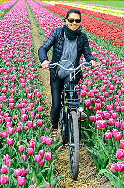 Young woman biking through tulip fields near Lisse, Netherlands, Europe