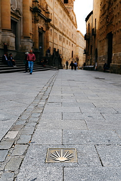 Camino de Santiago spiritual trail marker on the road in Salamanca, Castilla y Leon, Spain, Europe