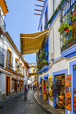 Tourist shops in the narrow pedestrian streets of Cordoba, Andalucia, Spain, Europe