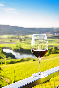 Single wine glass above vineyards, Piedmont, Italy, Europe