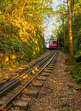 Corcovado Train, Rio de Janeiro, Brazil, South America