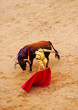 Bullfighting, Novillada Picada on the Bullring, Plaza de Toros de Las Ventas, Madrid, Spain, Europe