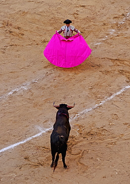 Bullfighting, Novillada Picada on the Bullring, Plaza de Toros de Las Ventas, Madrid, Spain, Europe