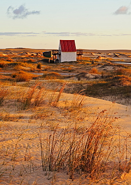 Sunrise at dunes, Cabo Polonio, Rocha Department, Uruguay, South America